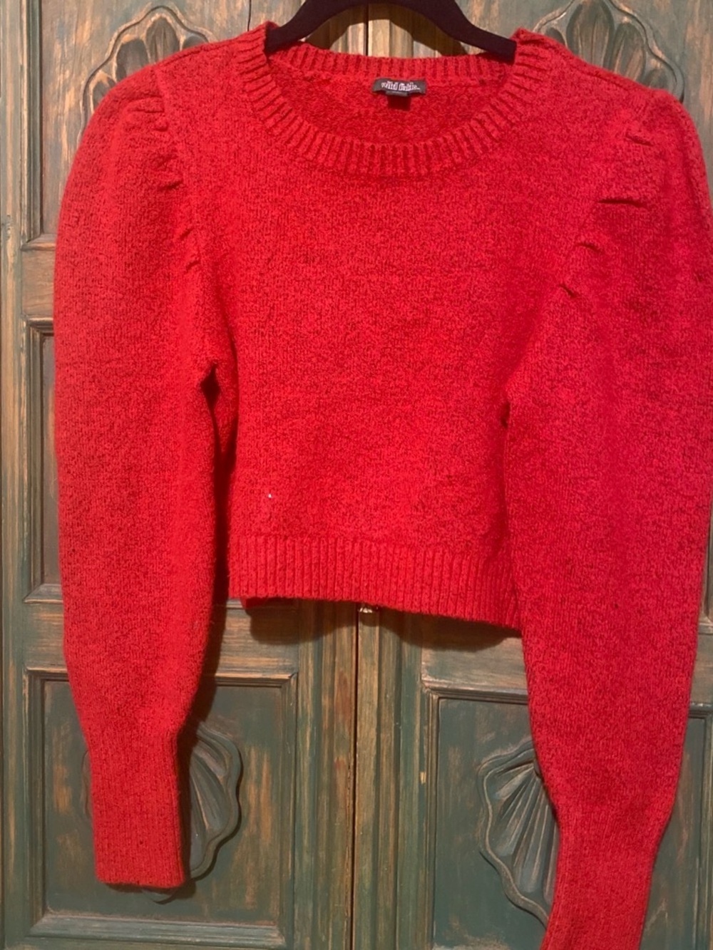 wild fable Red Puff-Sleeve Cropped Crew Sweater